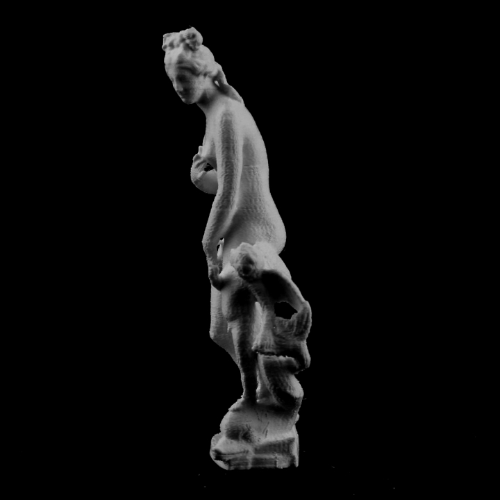 Capitoline Venus at The Louvre, Paris image