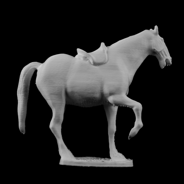 White Horse at The Guimet Museum, Paris image
