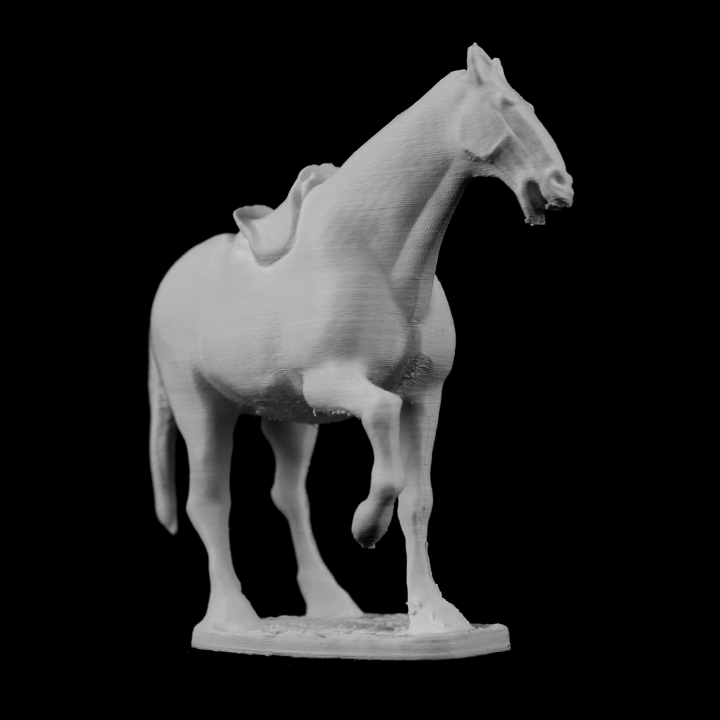 White Horse at The Guimet Museum, Paris image