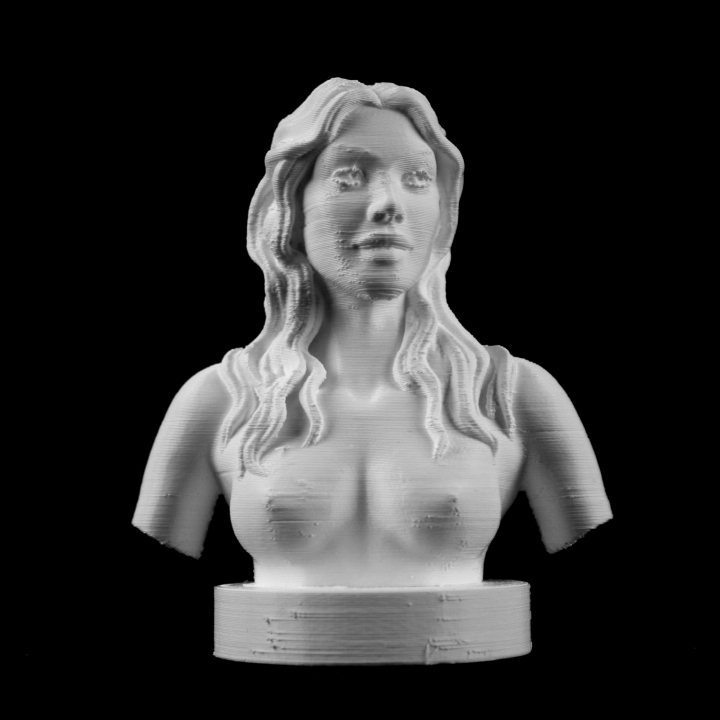 Young Girls Bust image
