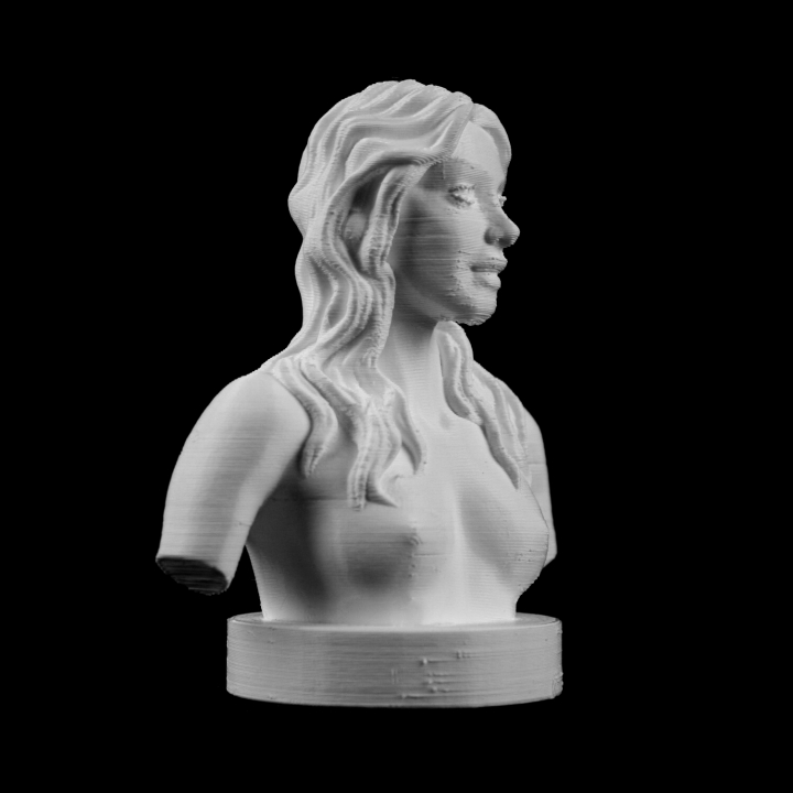 Young Girls Bust image