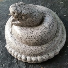 Picture of print of Stone Rattlesnake at The British Museum, London