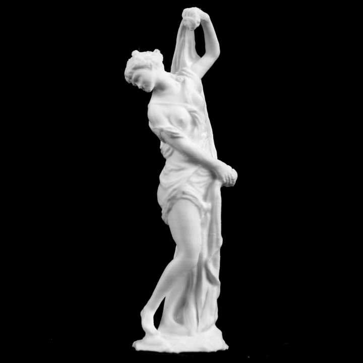 The Venus Callipyge at The Louvre, Paris image