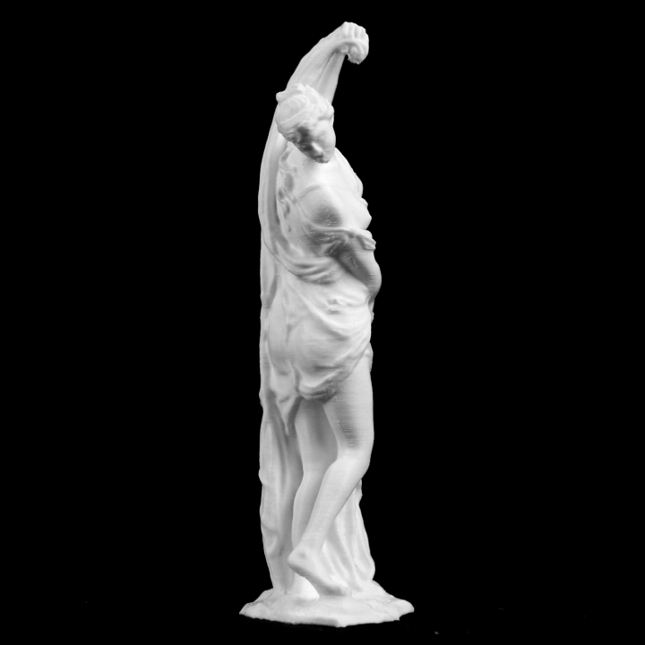 3D Printable The Venus Callipyge at The Louvre, Paris by Scan The World