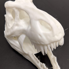 Picture of print of T-Rex Skull Pen Holder