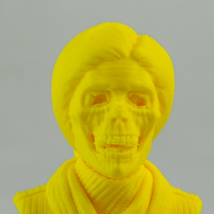 Norma Bates bust image