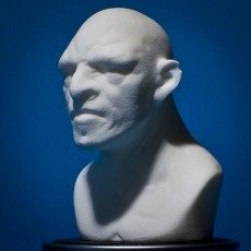 Picture of print of Troll bust sculpt