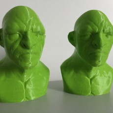Picture of print of Troll bust sculpt