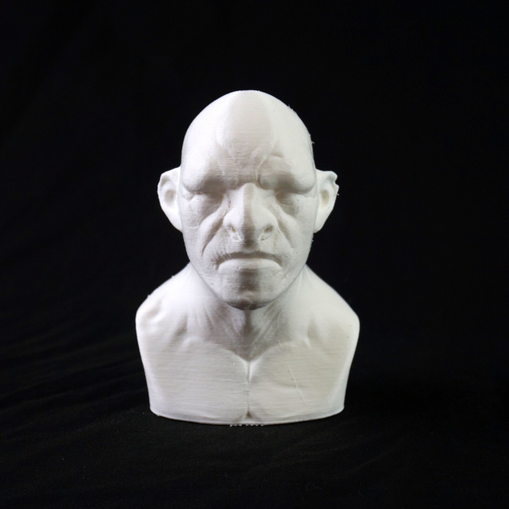 Troll bust sculpt image