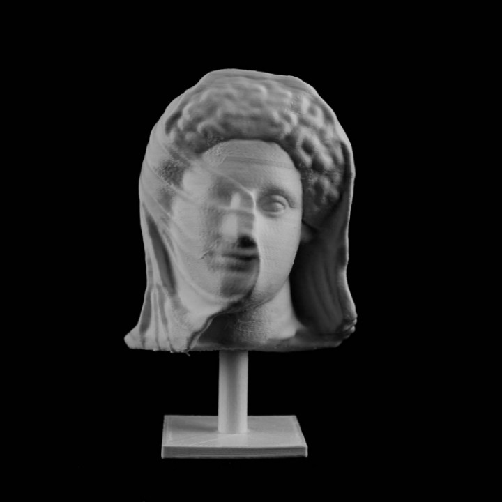 Head of a Veiled Woman at the MET, New York image