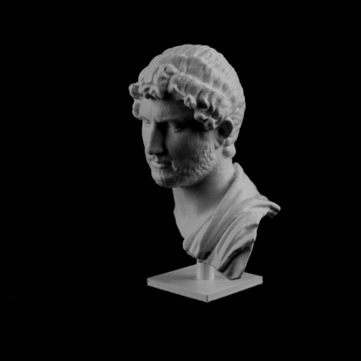 Marble bust of Hadrian at the MET, New York image