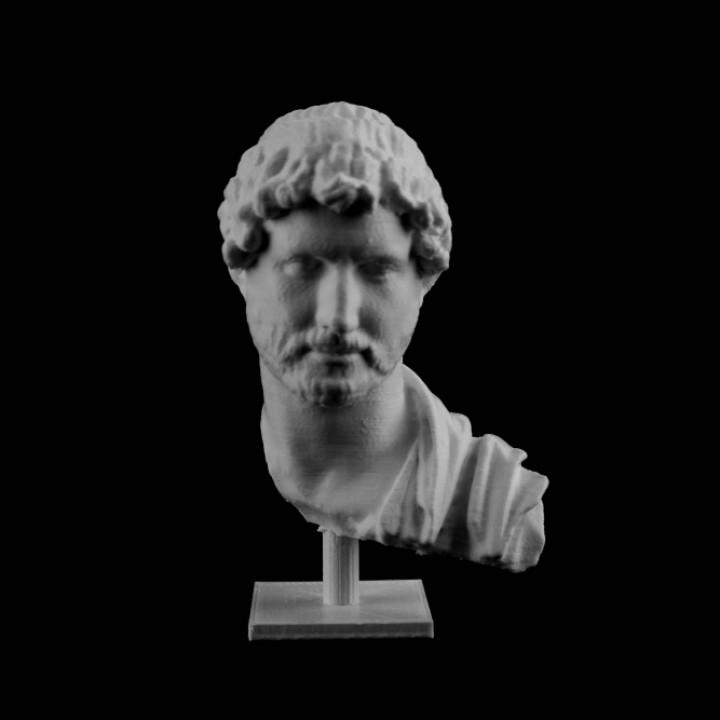 Marble bust of Hadrian at the MET, New York image