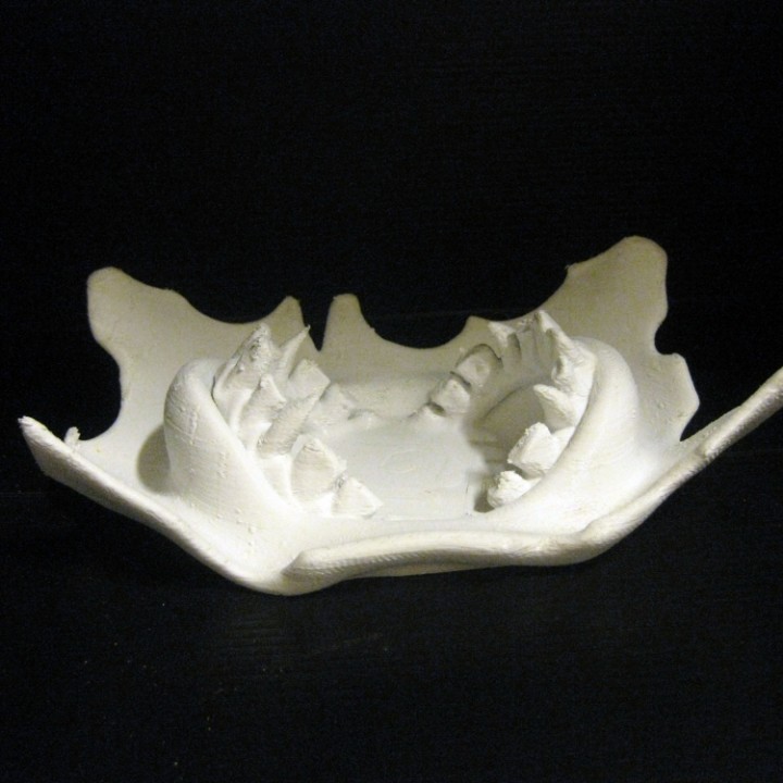 Teeth Fruit Bowl image