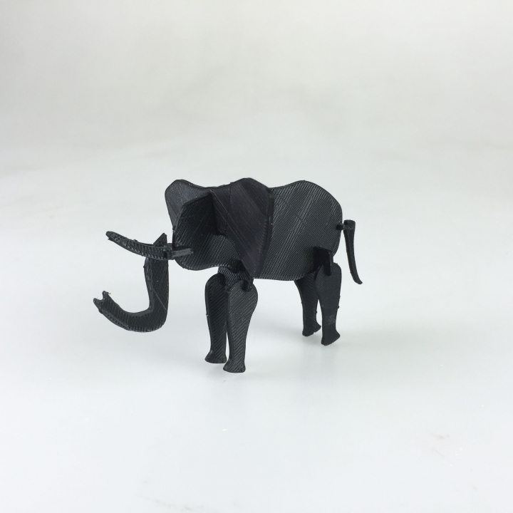 Puzzled Elephant 3D printed image