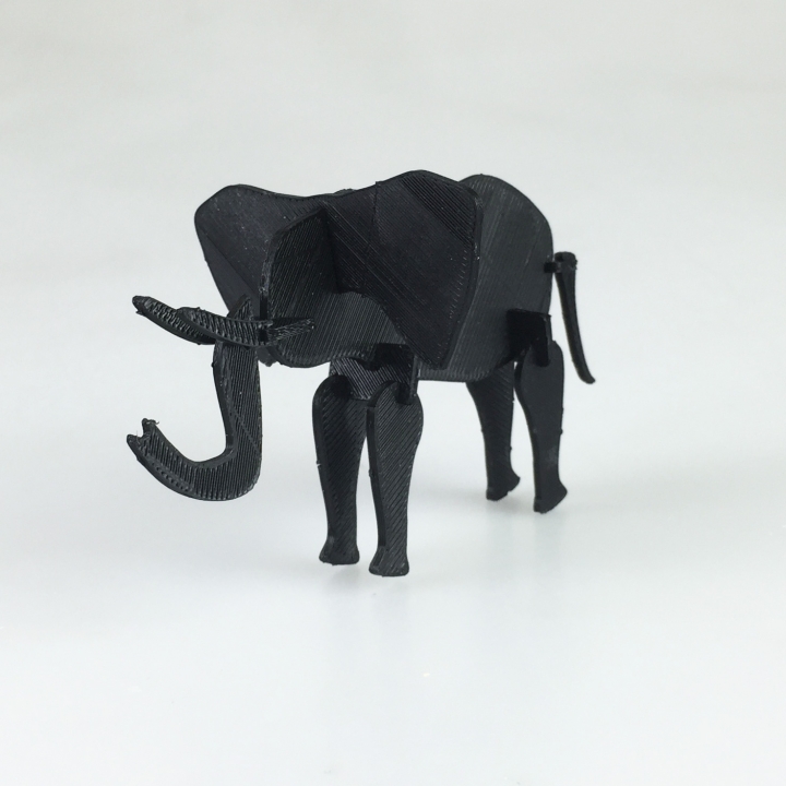Puzzled Elephant 3D printed image