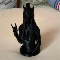 Picture of print of The Metal Queen! (Resin print)