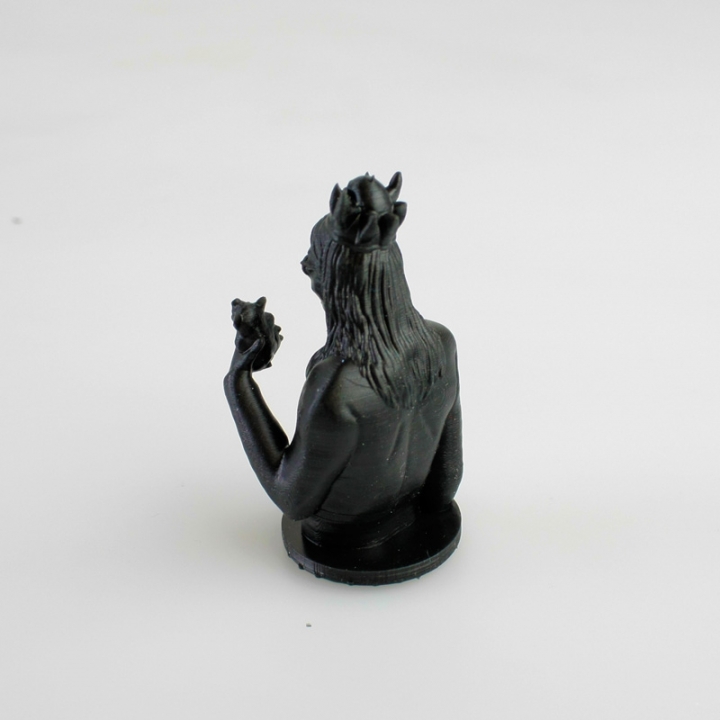 Ozzy The Chess King! (Resin print) image
