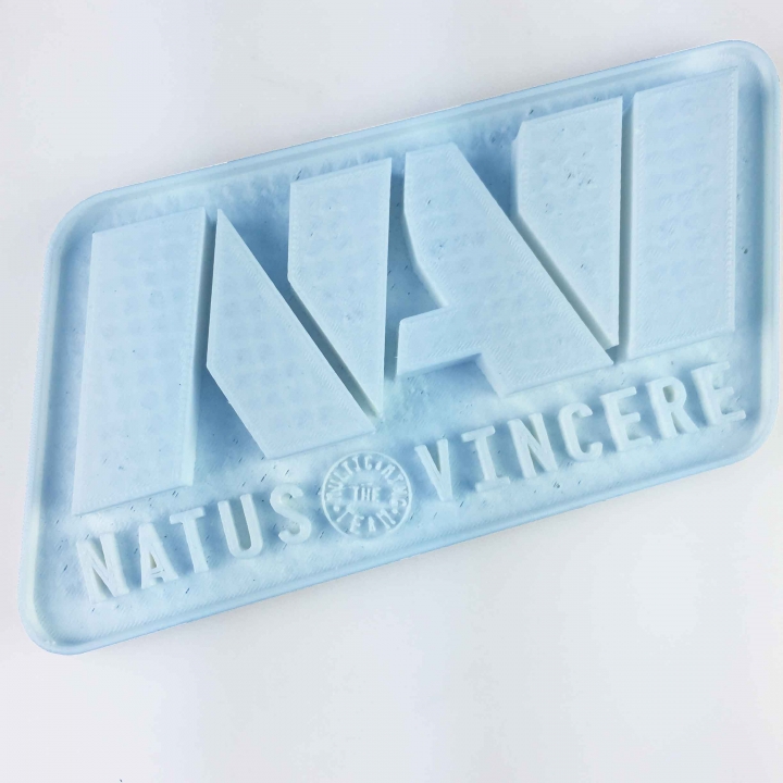 Natus Vincere Logo image