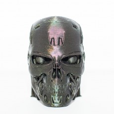 Picture of print of T-800 Terminator Skull