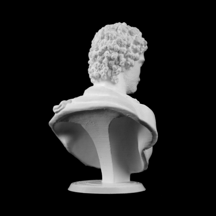 Bust of a Young Man at The Metropolitan Museum of Art, New York image