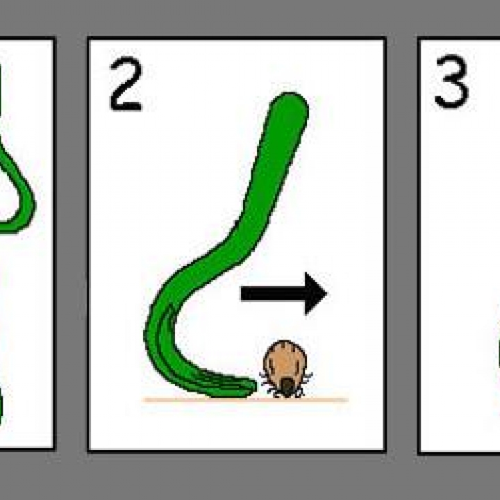 Tick Twister image