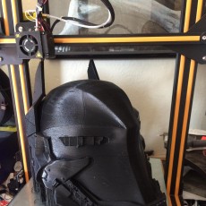 Picture of print of Arkham Knight Wearable helmet