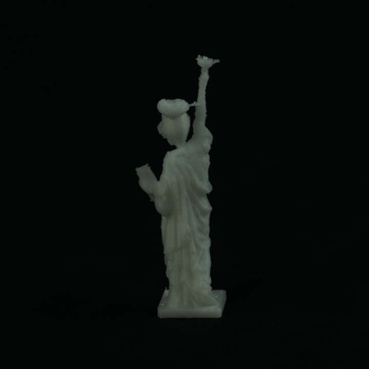 Statue Liberty + Donald image
