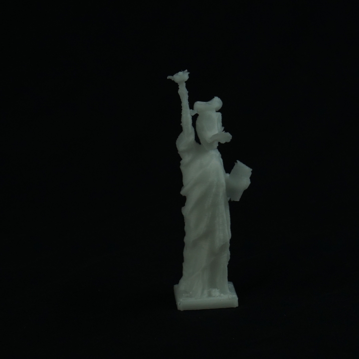 Statue Liberty + Donald image