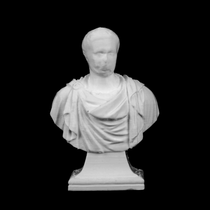 Bust of Nero in Warandepark, Brussels image