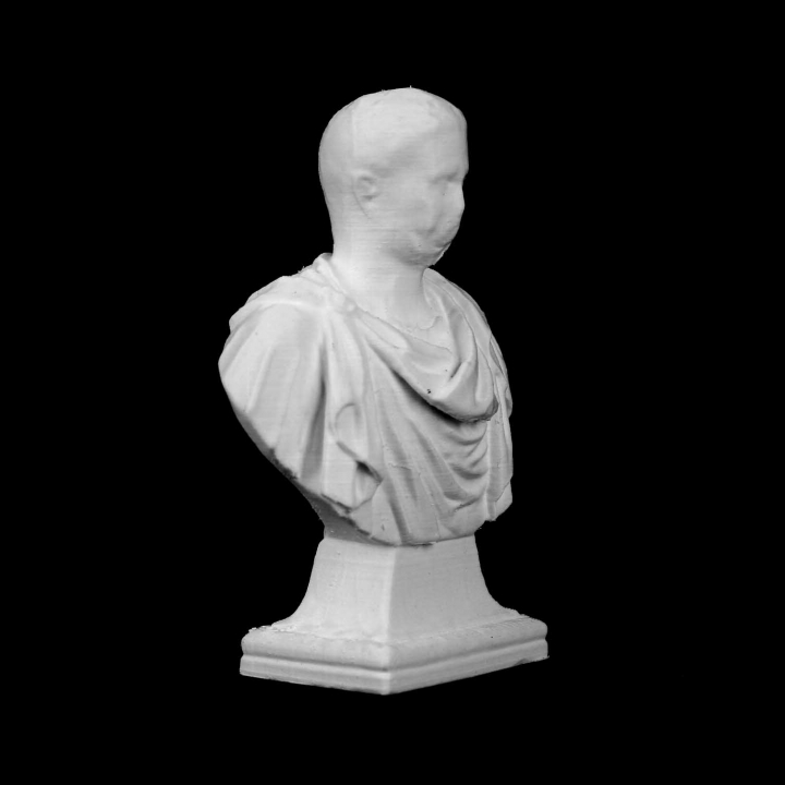 Bust of Nero in Warandepark, Brussels image