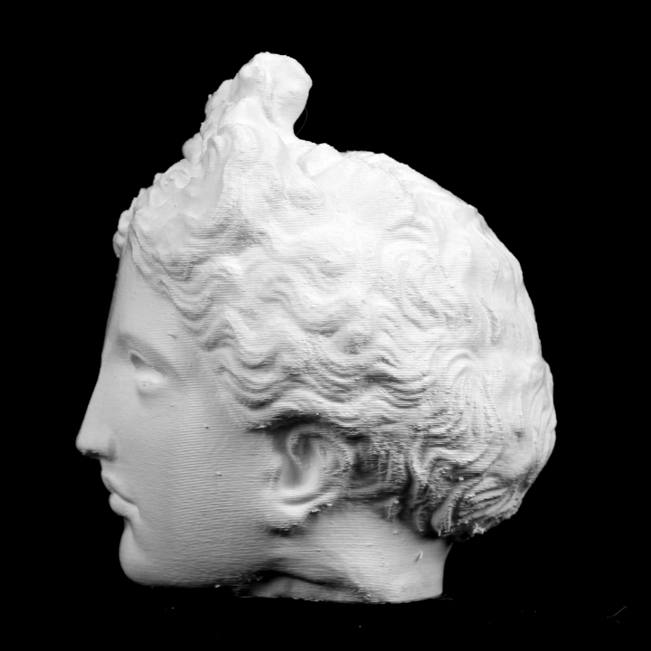 Bust of Antinous du Capitole at The Réunion des Musées Nationaux, Paris image