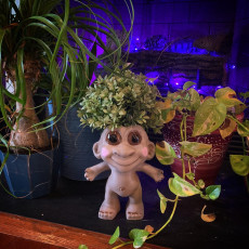 Picture of print of TROLL DOLL PLANTER