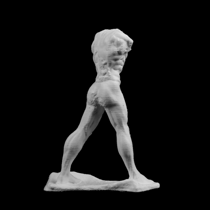 The Walking Man at The Musée Rodin, Paris image