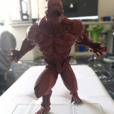 Picture of print of Doom 4 creature statue