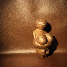 Picture of print of Venus of Willendorf at The Naturhistorisches Museum, Vienna, Austria