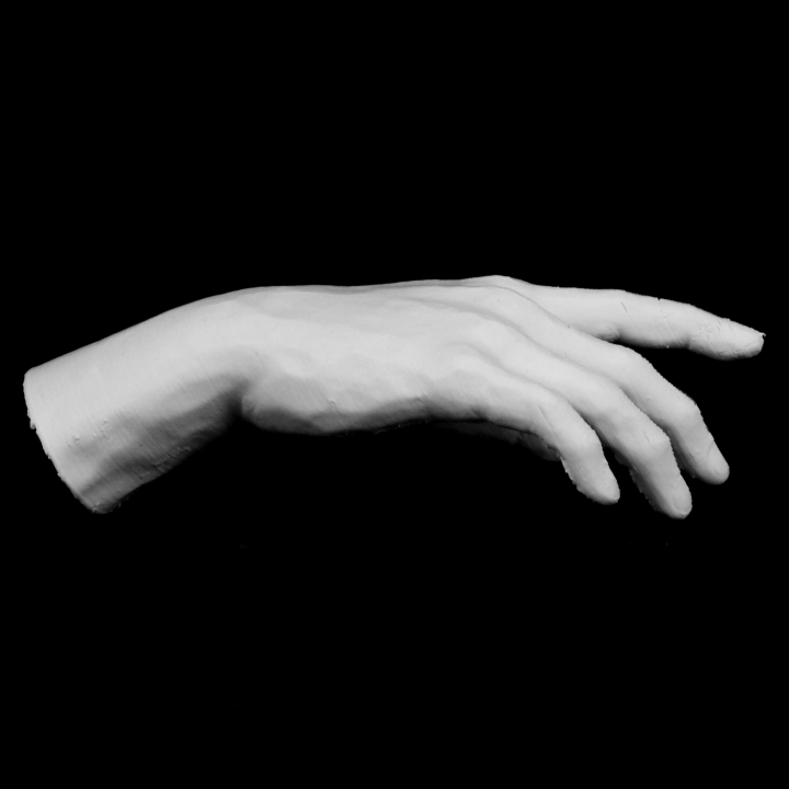 Hand of Adam at The Rodin Museum, Paris image