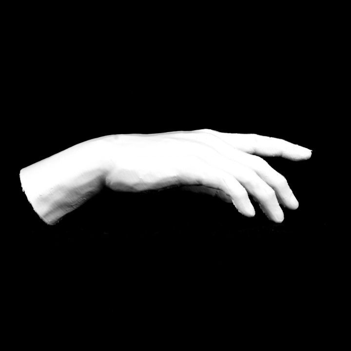Hand of Adam at The Rodin Museum, Paris image