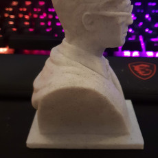 Picture of print of Harry Potter Bust