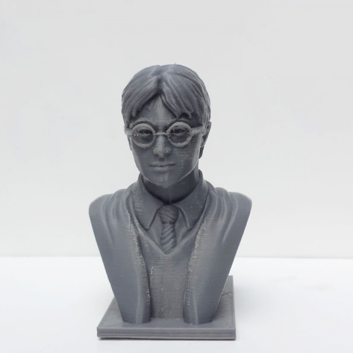 Harry Potter Bust image