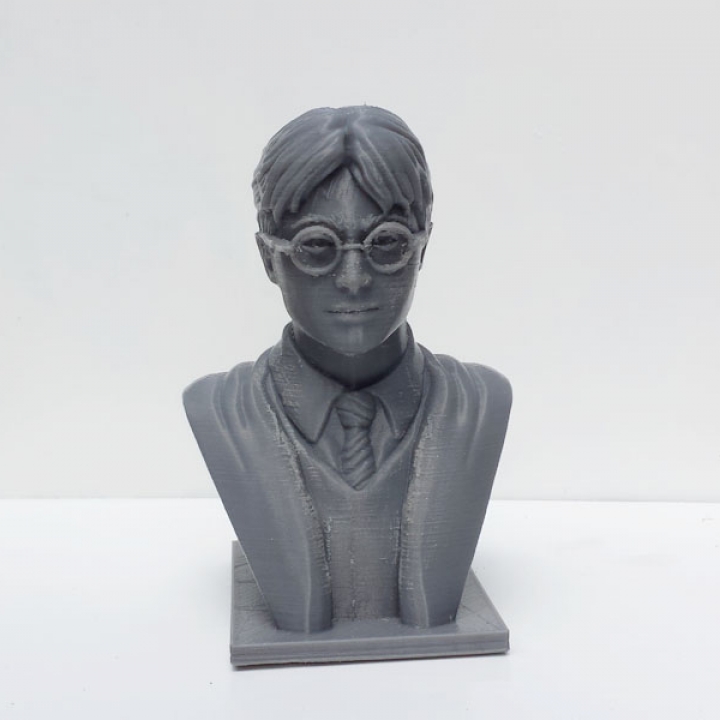 Harry Potter Bust image