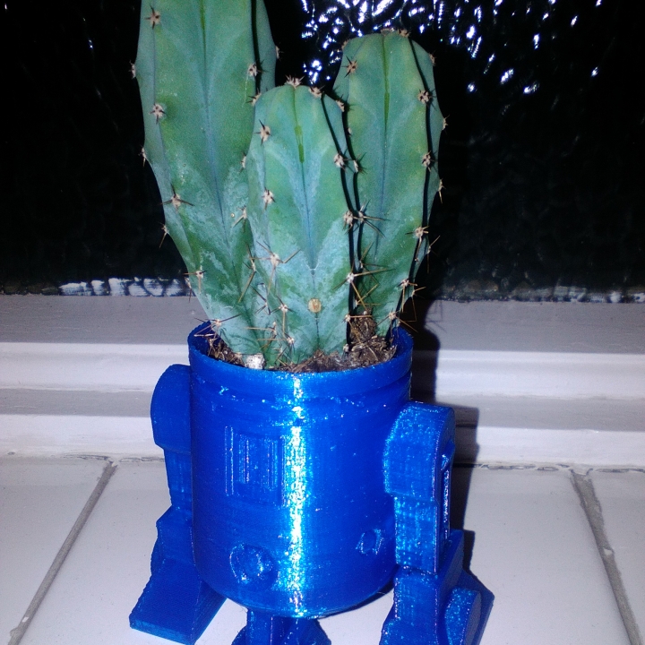 R2D2 Cactus Head image