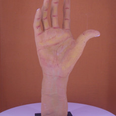 Picture of print of Right Hand of Pierre and Jacques de Wissant at The Musée Rodin, Paris
