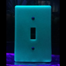Picture of print of Glow-In-The-Dark 3D Printed Light Switch Frame