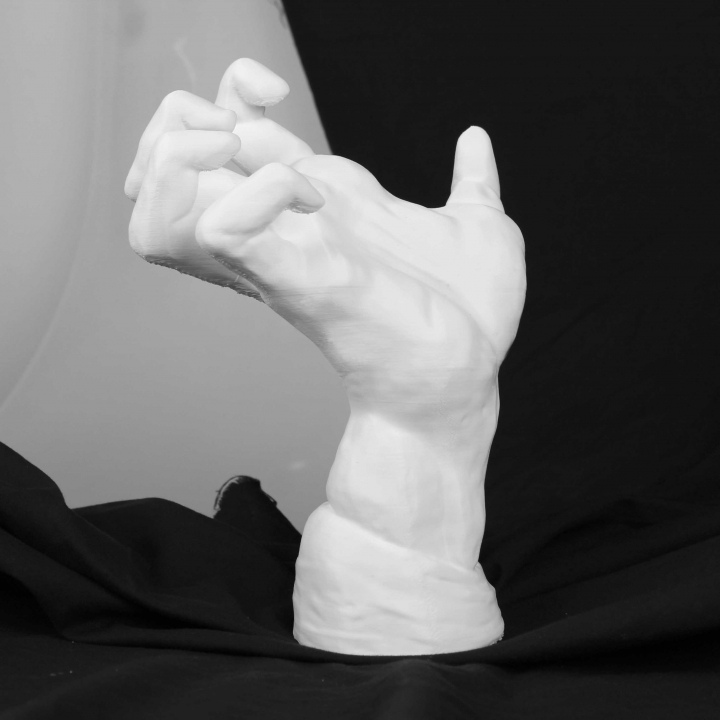 The Mighty Hand at The Musée Rodin, Paris image