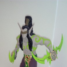 Picture of print of Illidan from Heroes Of The Storm!