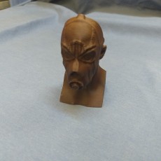 Picture of print of Borderlands Psycho Bust