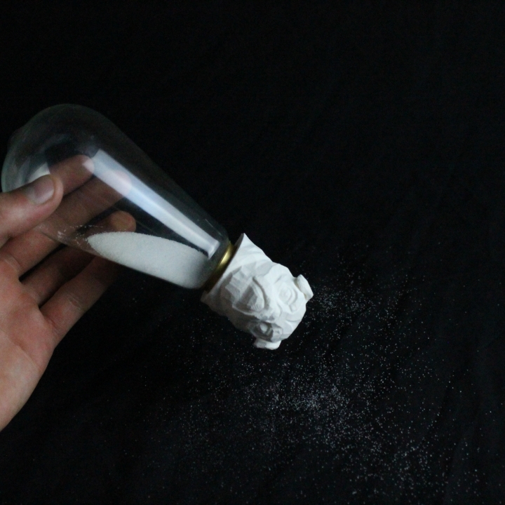 'Pug Life' Salt and Pepper Shaker from an Old Lightbulb! image