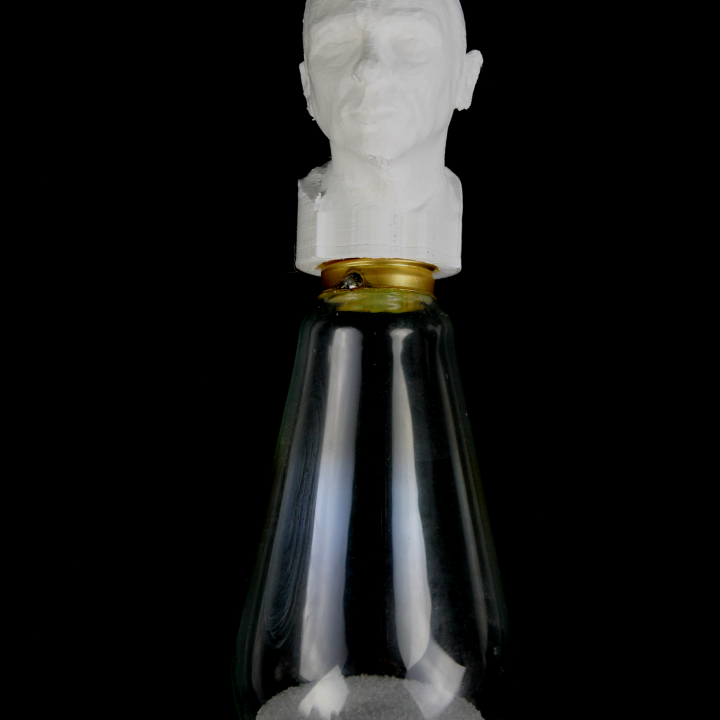 007 James Bond Salt and Pepper Shaker from an Old Lightbulb! image