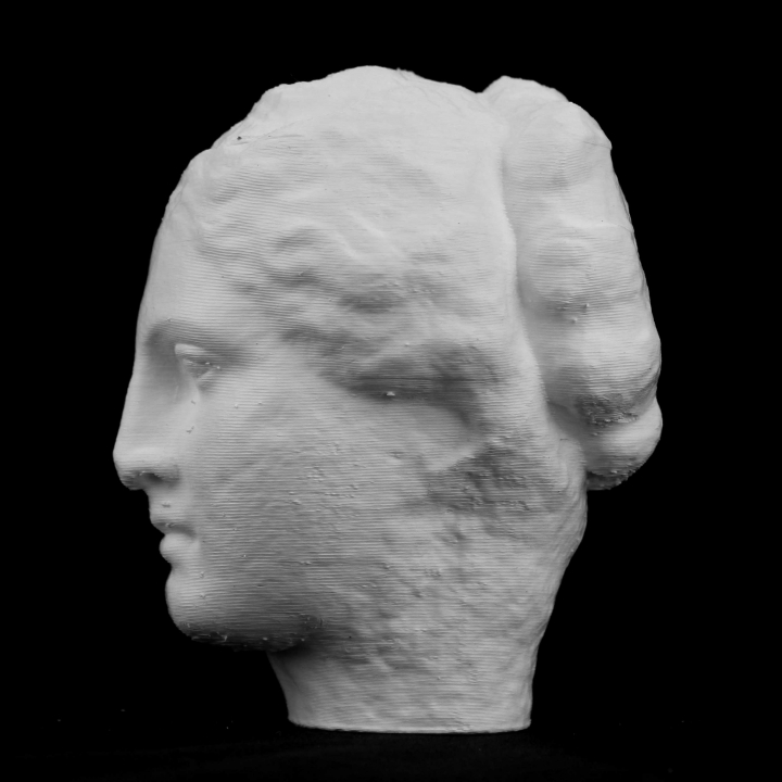 Head of Hygeia at the Réunion des Musées Nationaux, Paris image
