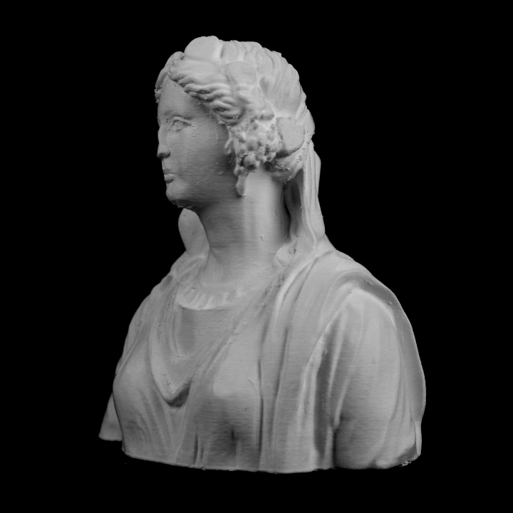 Bust of a Woman : Ariadne at The Louvre, Paris image